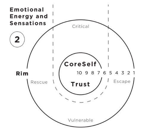 Simple-Not-Easy-CoreSelf-Mapping-Rim