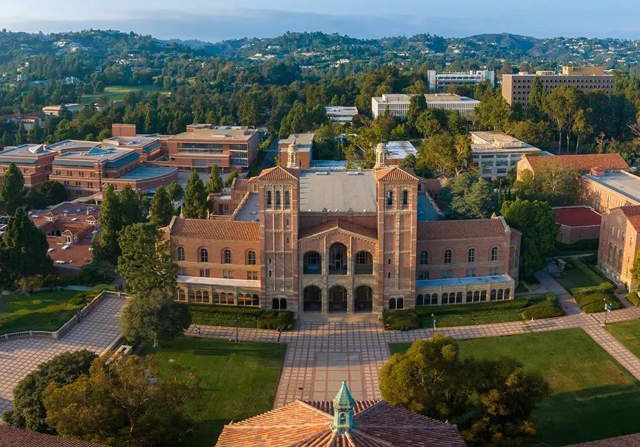 simple-not-easy-education-university